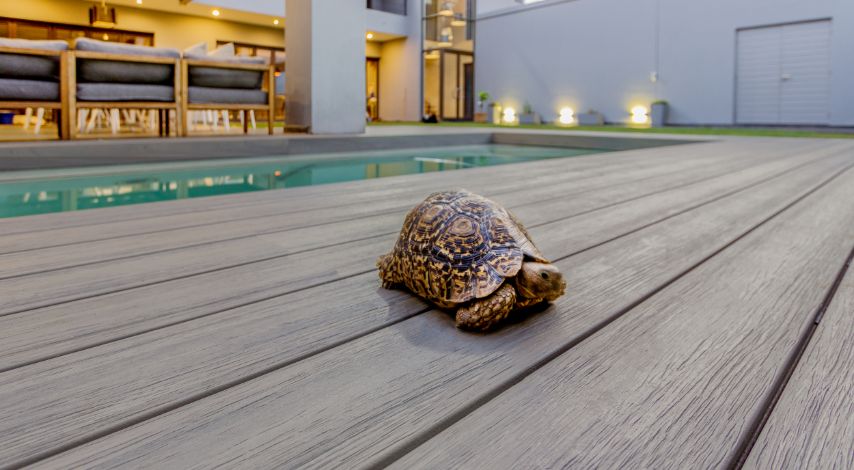 Fortress Infinity I-Series Caribbean Coral Composite Decking Board