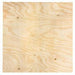 Pressure Treated Plywood - 5/8" x 4' x 8' - Warehoos